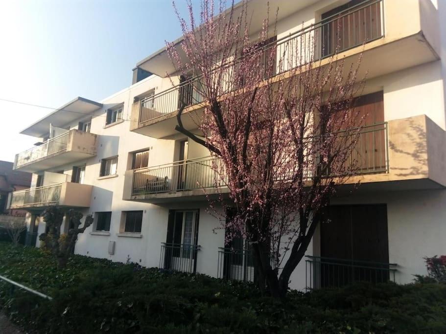 Appartement Avec Balcon Et Parking Prive 罗阿纳 外观 照片